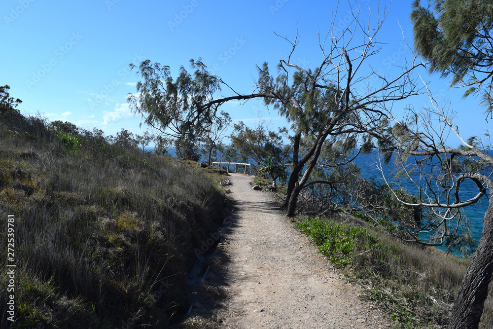 Forest way trail with an amazing ocean scenery at Noosa National Park Forest way trail with an amazing ocean scenery at Noosa National Park
