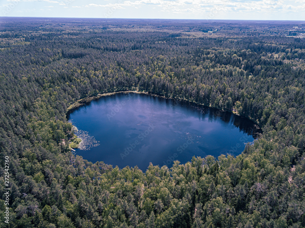 aerial drone view of green lake in forest area