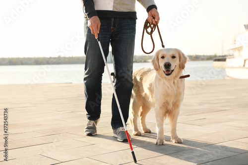 Guide dog helping blind person with long cane walking in city photo