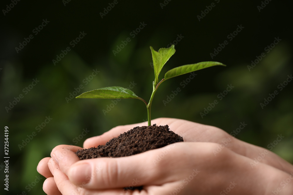 Woman holding pile of soil and seedling on blurred background, closeup Woman holding pile of soil and seedling on blurred background, closeup