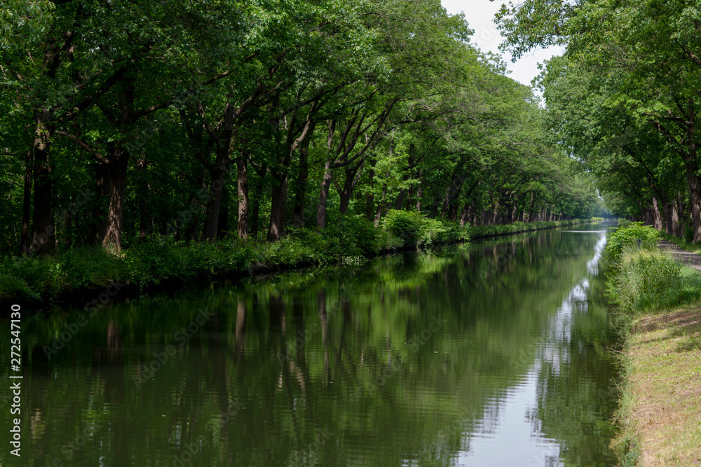 Waterways in Belgium, manmade canal with oak trees alley Waterways in Belgium, manmade canal with oak trees alley