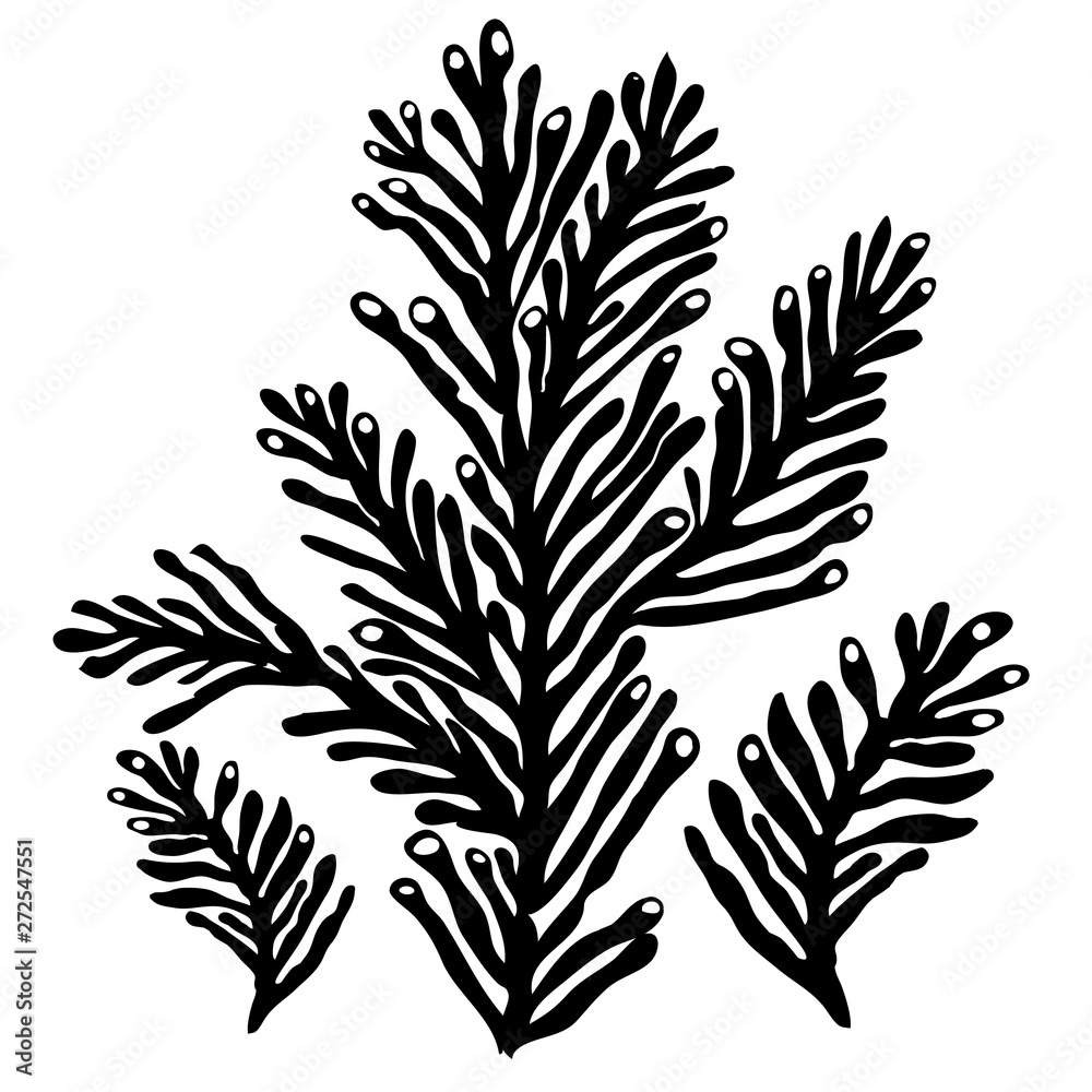 Fototapeta Monochrome stylised silhouette of sea koral isolated on white background. Black ink hand drawn graphic. Element for design baby fabrics, wrapping paper, printing on clothes, covers books, postcards