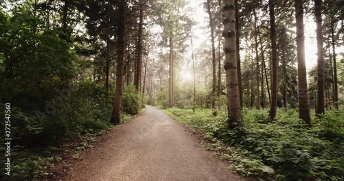 Slow motion POV shot of a person walking through a forest or a park with green leaves and sun shining through the foliage.