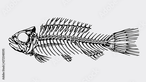 Silhouette in black color of a skeleton of a big fish on light gray background. Vector image