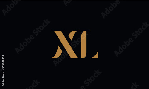 XL logo design template vector illustration
