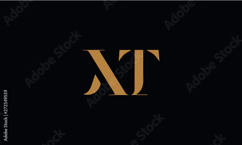 XT logo design template vector illustration