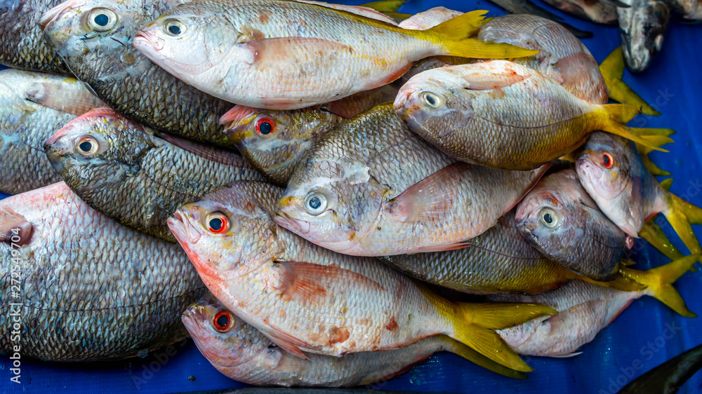 Obraz premium closeup of saltwater fish sold at traditional market in Indonesia
