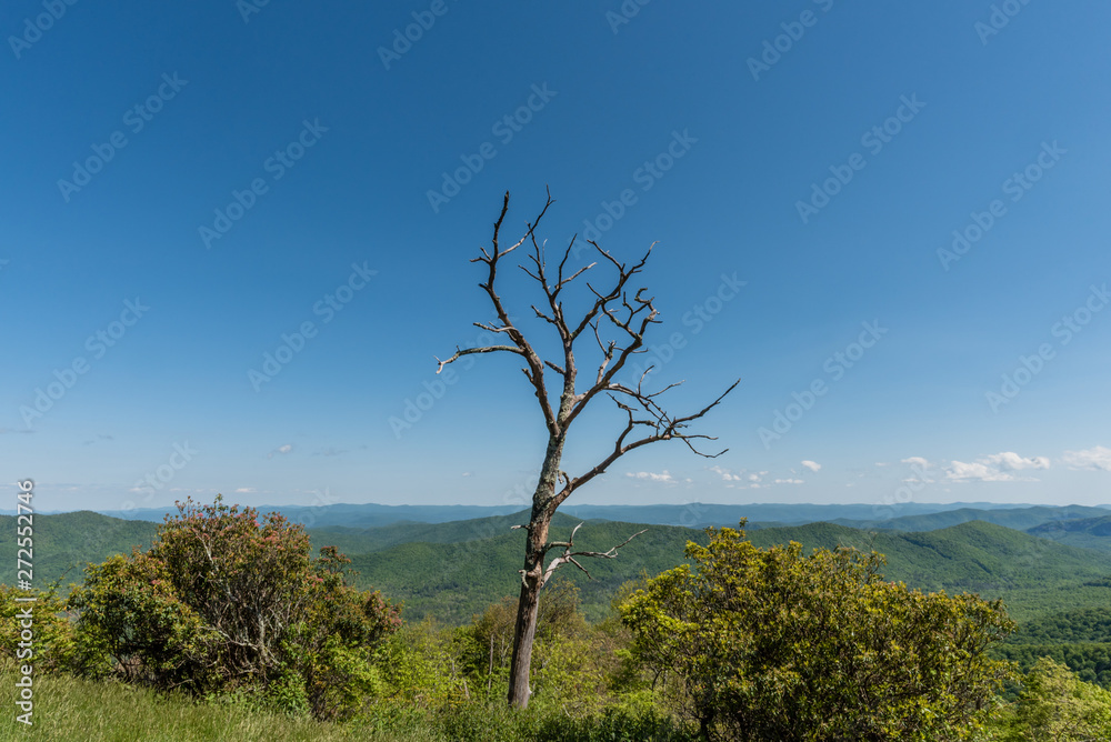 Obraz premium Beautiful Blue Ridge Parkway vista in springtime, North Carolina