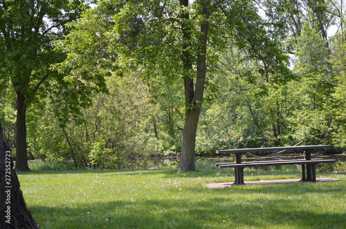 Fototapeta Naklejka Na Ścianę i Meble -  bench in the park