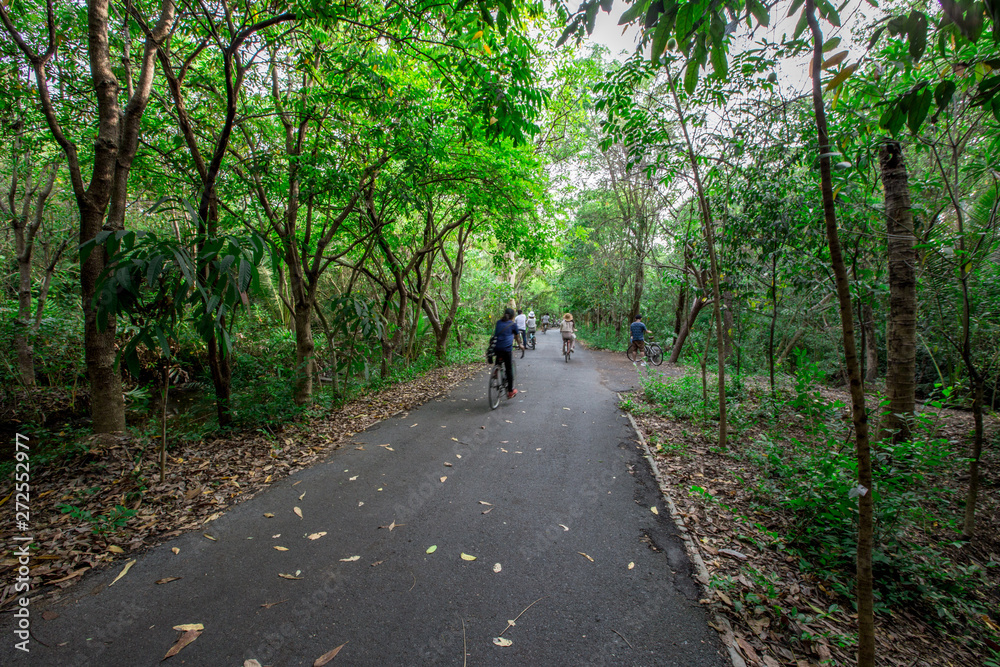 The background of the bicycle symbol made of wood, and people come to exercise quickly, blurred, to relax during the holidays. The background of the bicycle symbol made of wood, and people come to exercise quickly, blurred, to relax during the holidays.