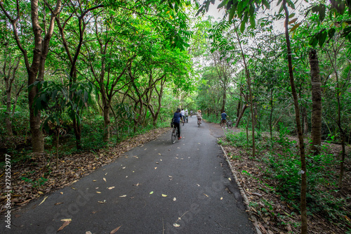 Wallpaper Mural The background of the bicycle symbol made of wood, and people come to exercise quickly, blurred, to relax during the holidays. Torontodigital.ca