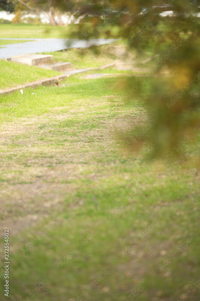 Obraz premium 秋の難波宮跡公園