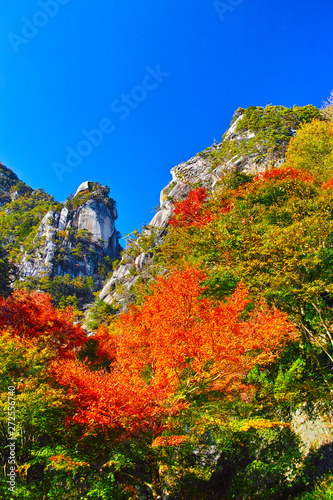 紅葉シーズンの山梨、甲府市にある昇仙峡の景観