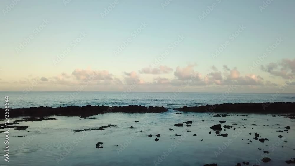Drone Shot flying backwards over the water at Shark's Cove, Oahu, Hawaii. The drone flies closely under some palm trees at the end of this clip. Drone Shot flying backwards over the water at Shark's Cove, Oahu, Hawaii. The drone flies closely under some palm trees at the end of this clip.