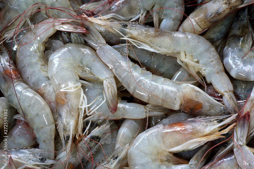 Fresh shrimps in seafood market for the background