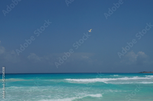  Playa Delfines in Cancun, Quintana Roo, Mexico. Blue caribbean sea. 