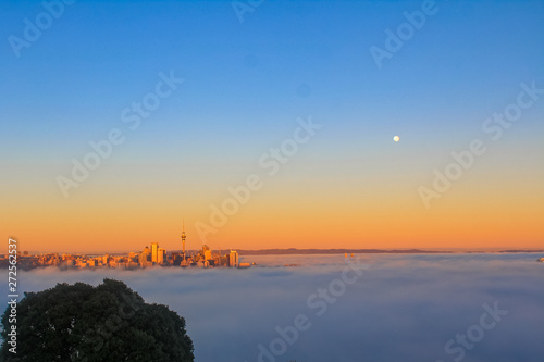 Fototapeta Naklejka Na Ścianę i Meble -  Auckland Skyline - Sunrise