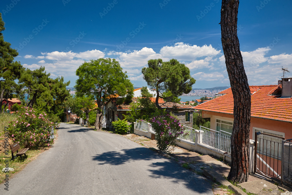 Road, trees and houses. Journey to the Island in the sea. Buyukada, Princes' Islands, Istanbul. 