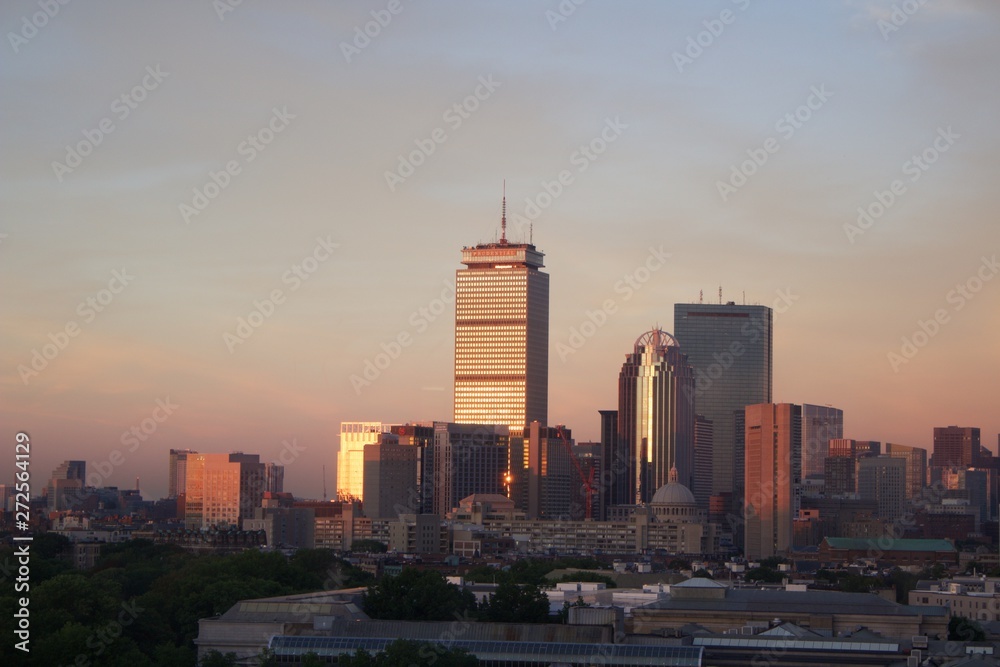 Fototapeta premium Overview