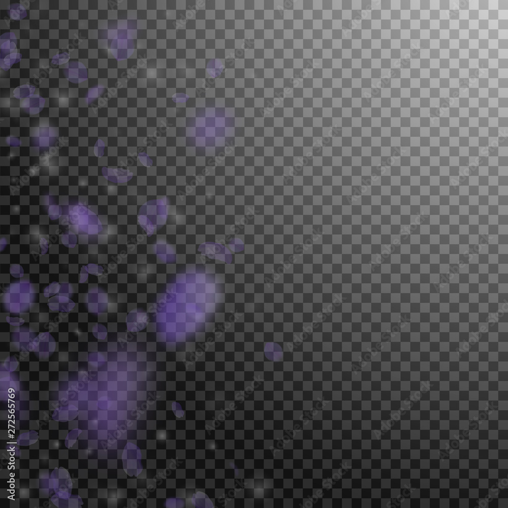 Violet flower petals falling down. Overwhelming ro Violet flower petals falling down. Overwhelming ro