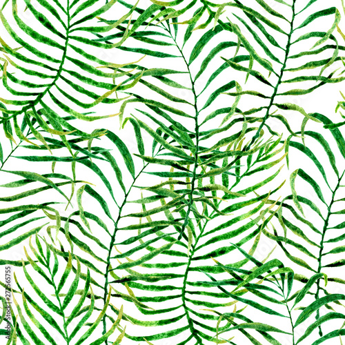 Tropical seamless pattern. Watercolor tangled palm