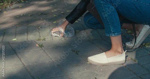 Dog owner cleaning dogs excrement