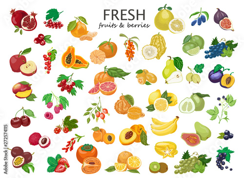 Big set of colored fruits and berries.