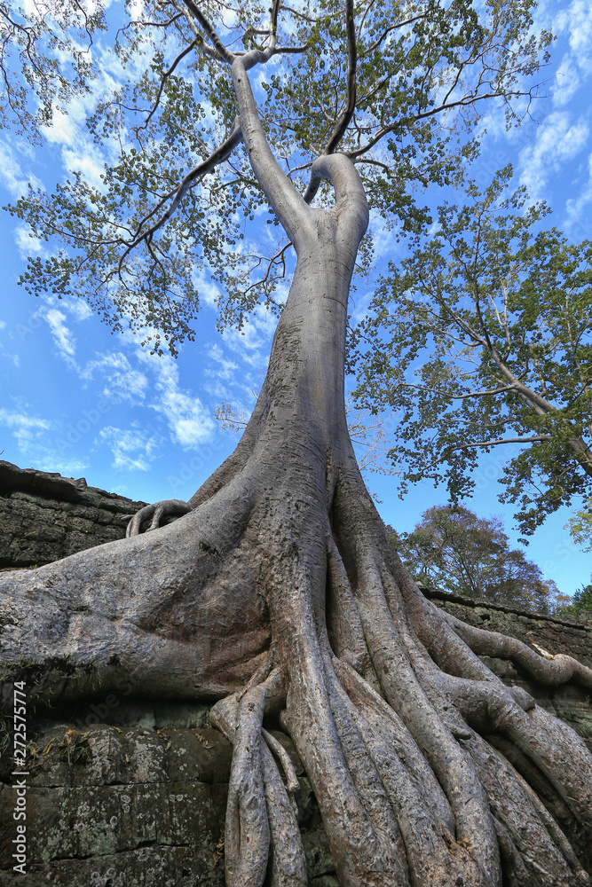 The ancient architecture of Angkor Wat, Cambodia The ancient architecture of Angkor Wat, Cambodia