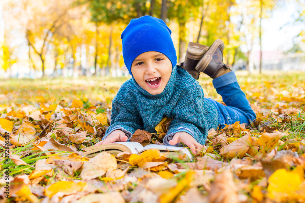 cheerful boy lying on yellow leaves with a book cheerful boy lying on yellow leaves with a book