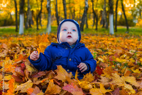 baby in autumn leaves
