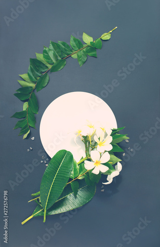 Cuadro en lienzo Plumeria tropical flower with another leaf circle