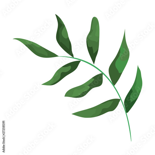 branch with leafs plants icon