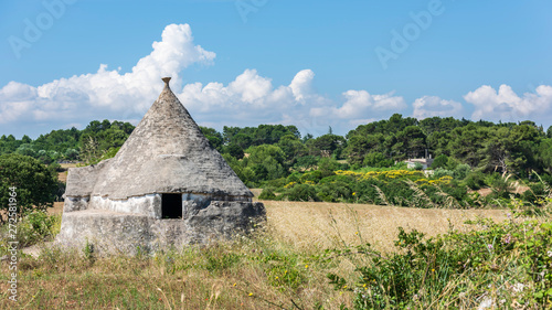 Trulli in the Itria valley. Puglia  Italy.