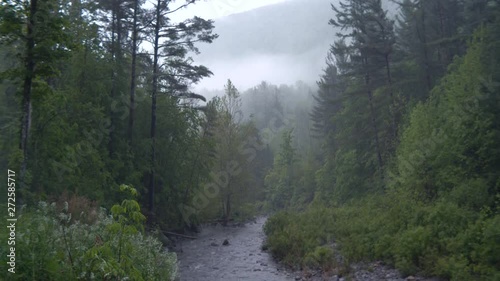 Beautiful Cinematic View From Up River Of A Cowboy Looking Out Over Foggy Forest On A Rainy Day 