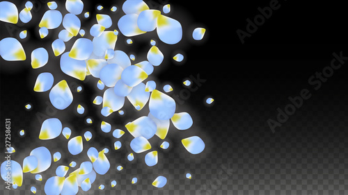 Vector Realistic Blue Petals Falling on Transparent Background.  Spring Romantic Flowers Illustration. Flying Petals. Sakura Spa Design. Blossom Confetti.