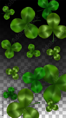 Vector Clover Leaf Isolated on Transparent Background with Space for Text. St. Patrick's Day Illustration. Ireland's Lucky Shamrock Poster. Invintation for Concert in Pub. Top View. Success Symbols.