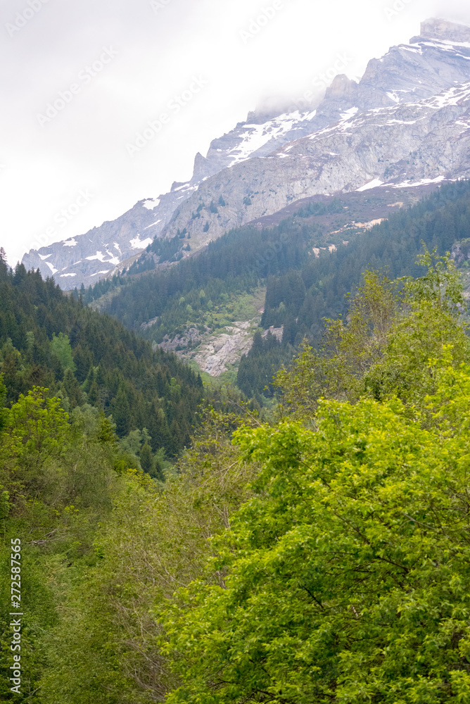 landscape in the swiss mountains