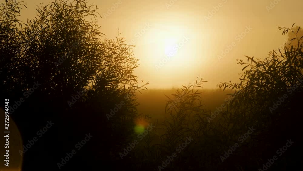 Landscapes of Torrevieja. Heavy fog and dew on green fields at dawn in Spain. 4K Landscapes of Torrevieja. Heavy fog and dew on green fields at dawn in Spain. 4K