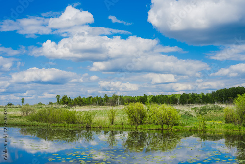 Fototapeta Naklejka Na Ścianę i Meble -  Green field. Wildlife. Meadow and river. Cloudy sky. Rural landscape.