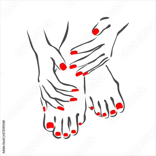 Vector hand drawn illustration of manicure and nail polish on woman hands
