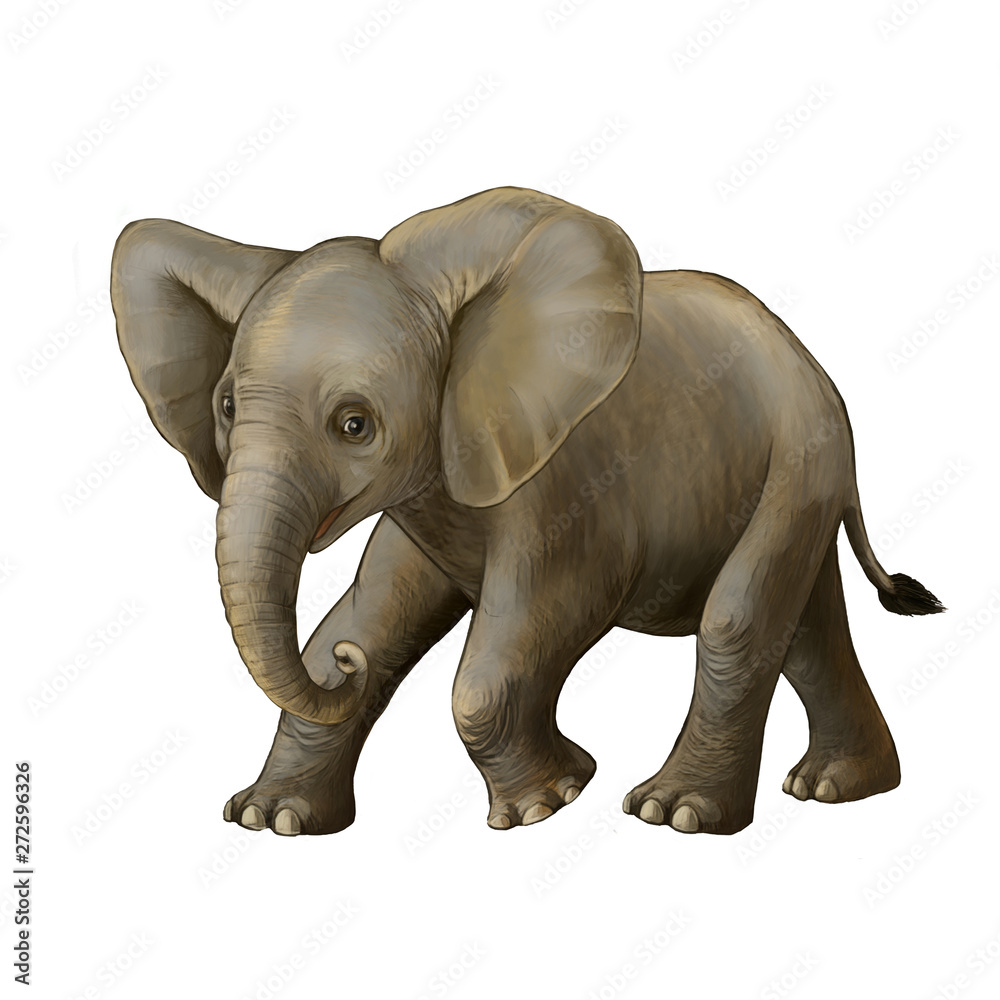 Fototapeta premium cartoon scene with little elephant on white background safari illustration for children