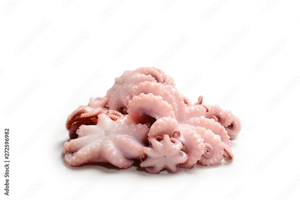 Octopus isolated on white background. Octopus isolated on white background.