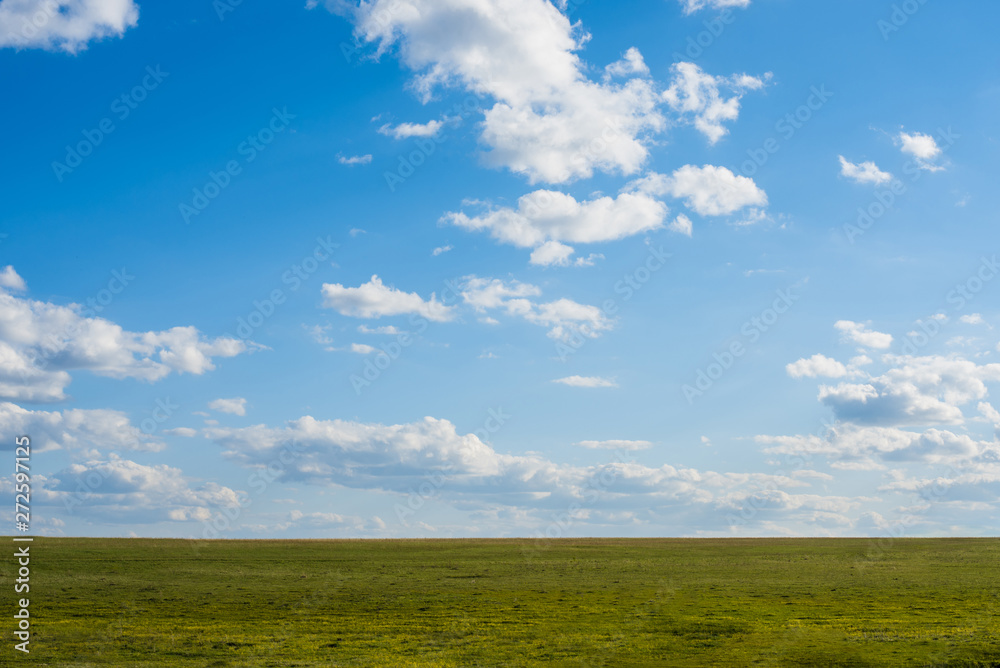 Obraz premium Green field. Wildlife. Meadow. Cloudy sky Rural landscape.
