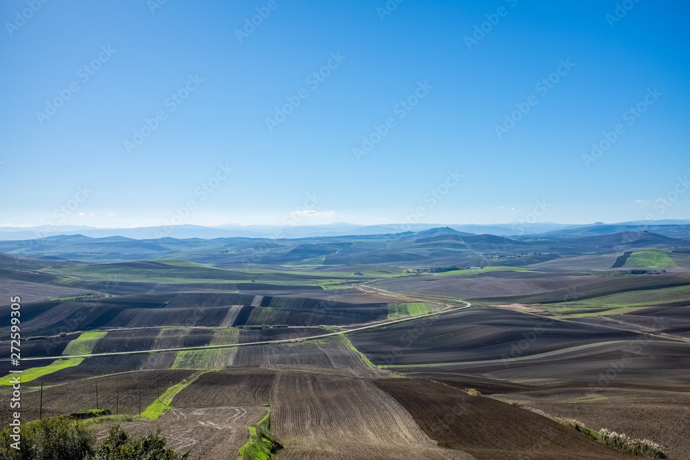 Agricultural landscape of Murgia plateau. Apulia region, Italy
