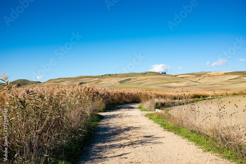 Agricultural landscape of Murgia plateau. Apulia region  Italy