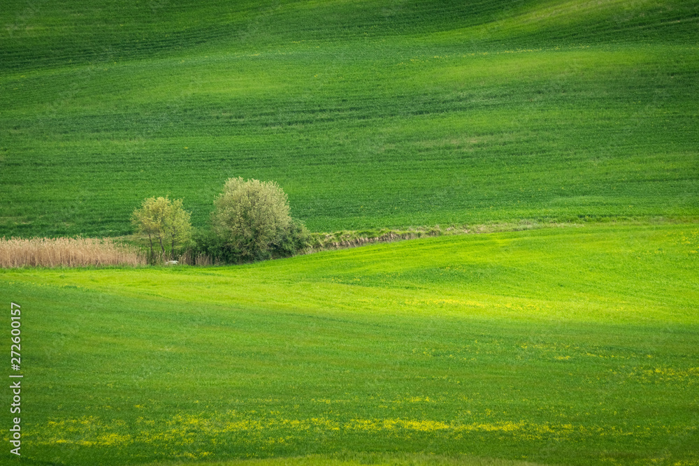 Spring view of typical Italian field