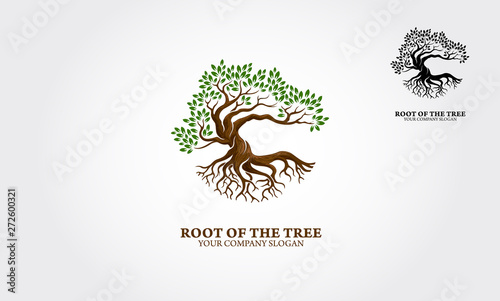 Root of the Tree logo illustrating a tree roots, branches. Excellent logo template for landscape, gardening, business or in numerous fields related to nature.