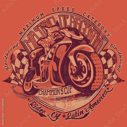 Mastiff on a race bike