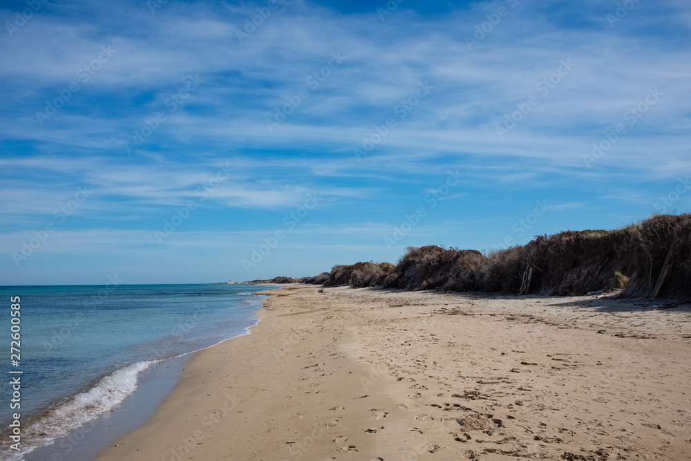 Sandy beach of Coastal dunes Natural park, Adriatic sea. Apulia region, Italy