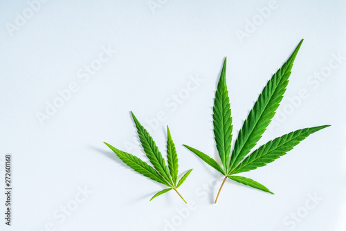 Cannabis leaf, medical marijuana isolated over clean white backg